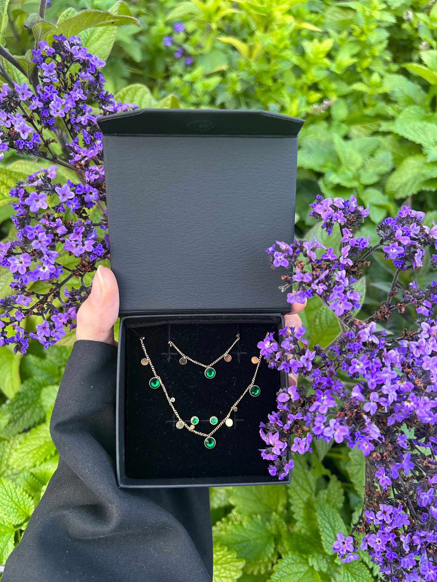 Assortiment discret Iris