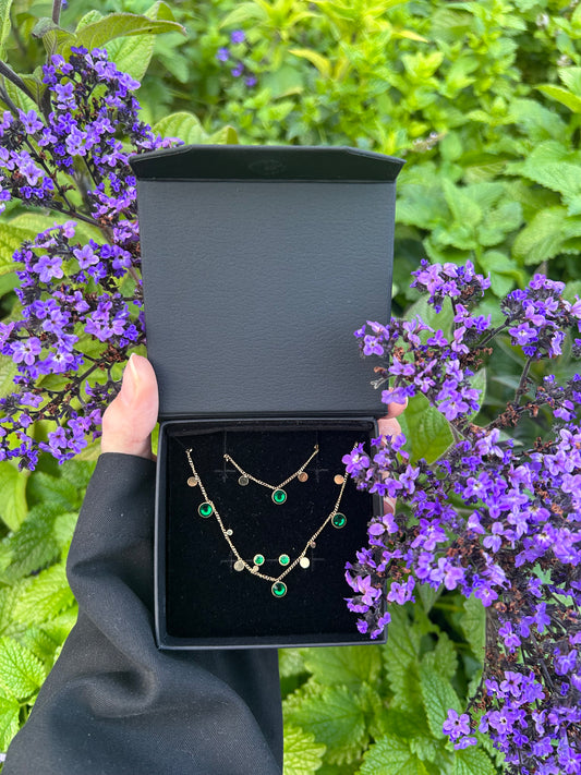 Assortiment discret Iris